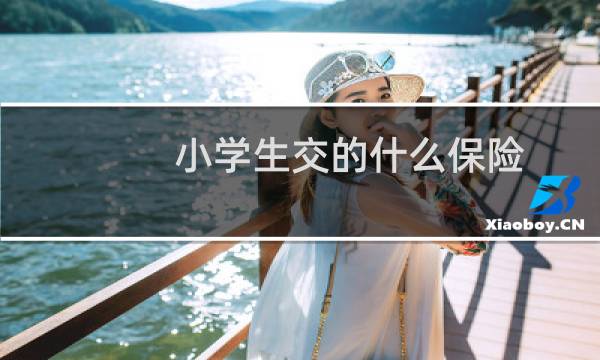 小学生交的什么保险