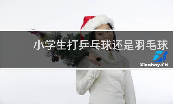 小学生打乒乓球还是羽毛球