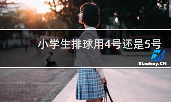 小学生排球用4号还是5号