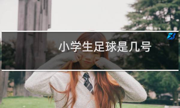 小学生足球是几号