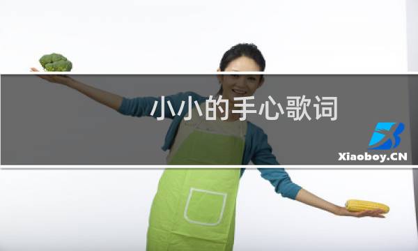 小小的手心歌词（小小的手心）图片