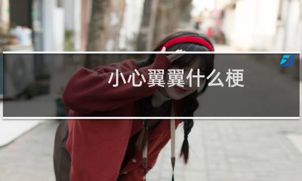 小心翼翼什么梗