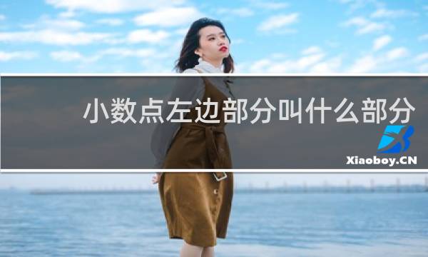 小数点左边部分叫什么部分