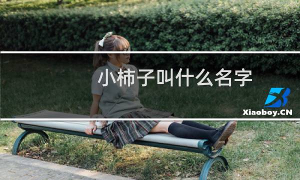 小柿子叫什么名字(最小的柿子叫什么)