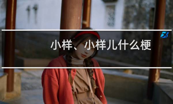 小样、小样儿什么梗