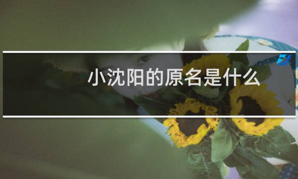 小沈阳的原名是什么?（小沈阳的原名叫什么）