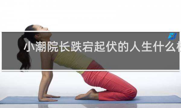 小潮院长跌宕起伏的人生什么梗