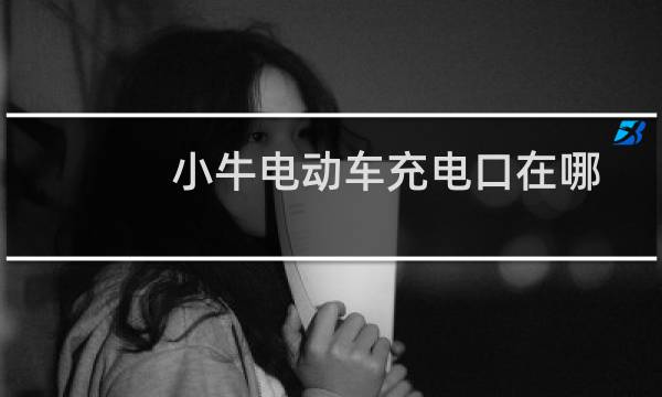 小牛电动车充电口在哪