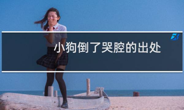 小狗倒了哭腔的出处 S7王记得解说RNG不敌SKT什么梗