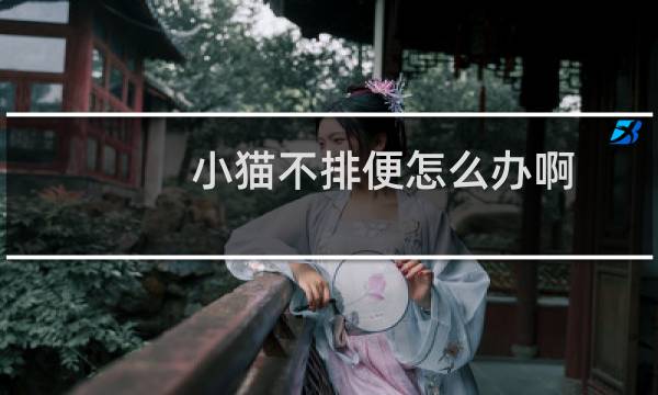 小猫不排便怎么办啊.