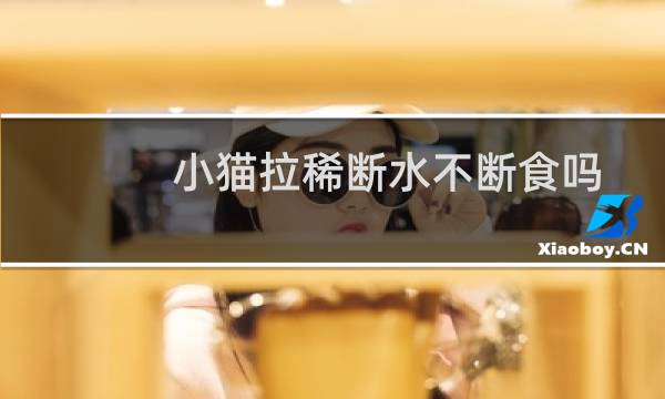 小猫拉稀断水不断食吗，小猫拉肚子断食断水吗