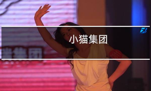 小猫集团图片