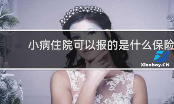 小病住院可以报的是什么保险