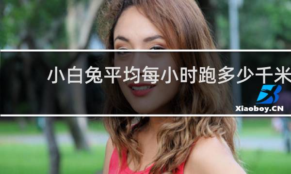 小白兔平均每小时跑多少千米