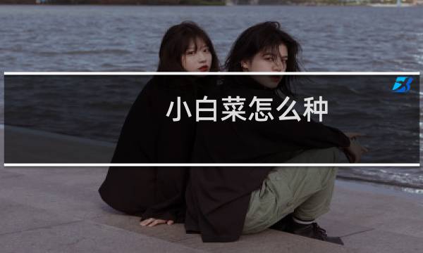 小白菜怎么种