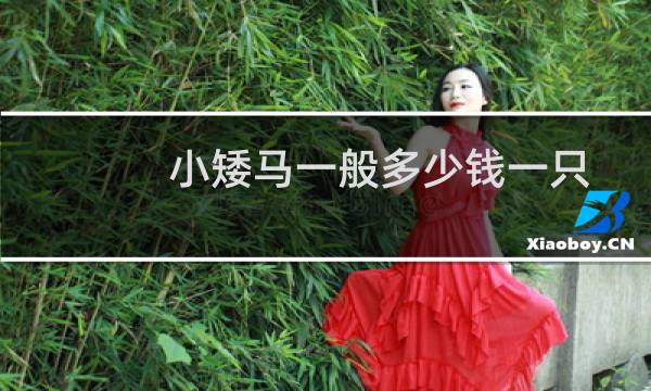 小矮马一般多少钱一只