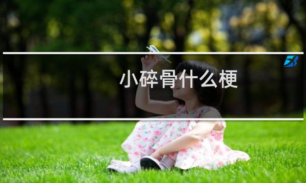 小碎骨什么梗
