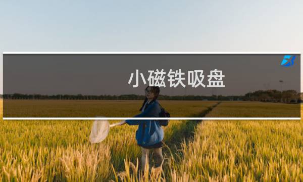小磁铁吸盘