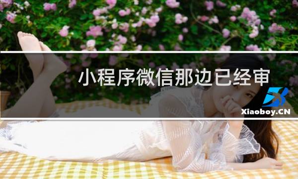 小程序微信那边已经审核通过了