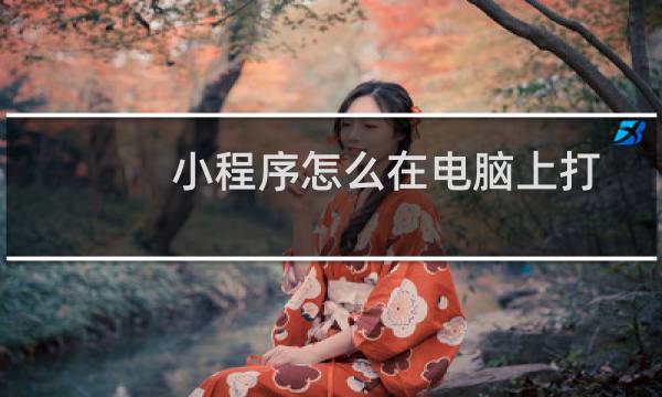 小程序怎么在电脑上打开