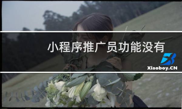 小程序推广员功能没有起到效果