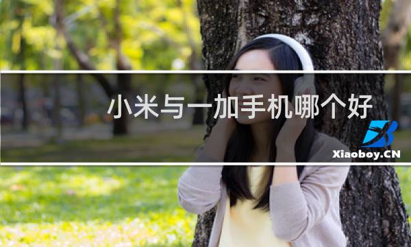 小米与一加手机哪个好