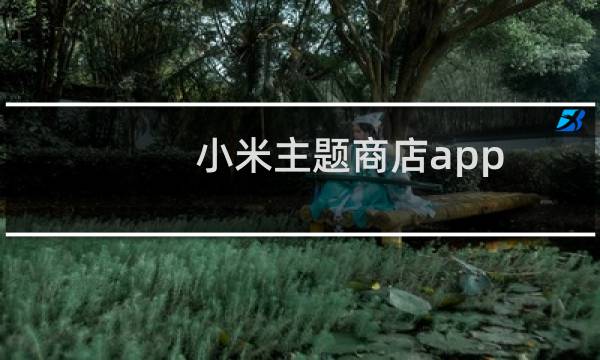 小米主题商店app（小米主题制作）图片