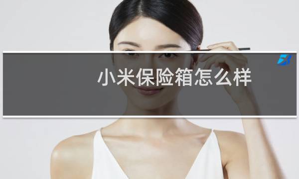 小米保险箱怎么样