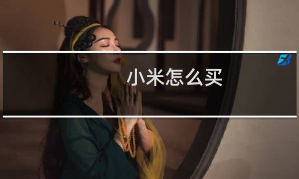 小米怎么买