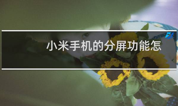 小米手机的分屏功能怎么用？