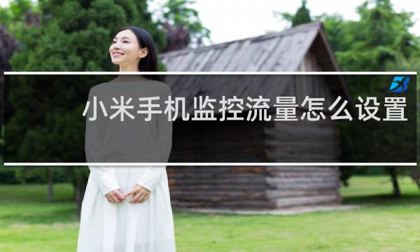 小米手機(jī)監(jiān)控流量怎么設(shè)置