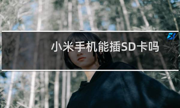 小米手机能插SD卡吗