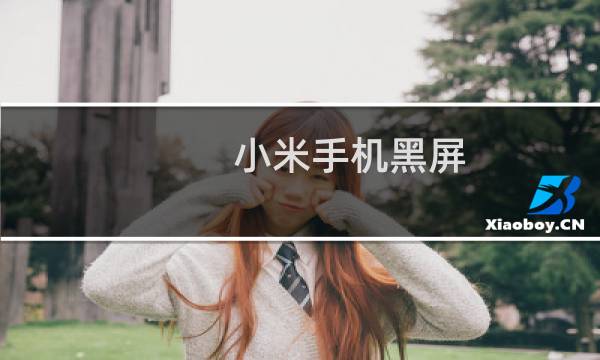 小米手机黑屏 解决方法