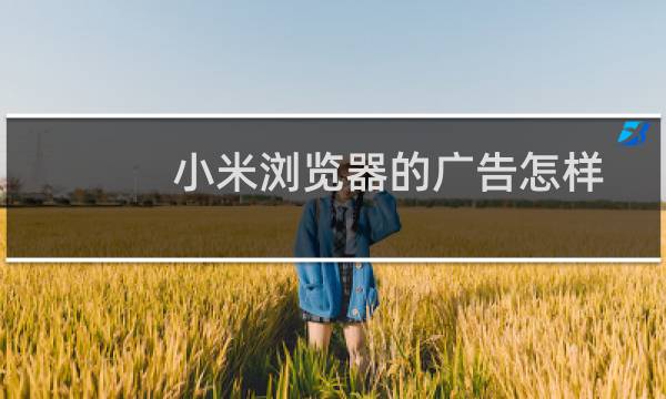 小米浏览器的广告怎样屏蔽?