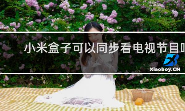 小米盒子可以同步看电视节目吗