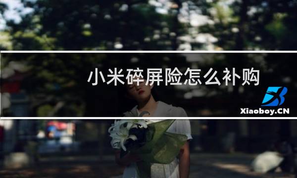 小米碎屏险怎么补购