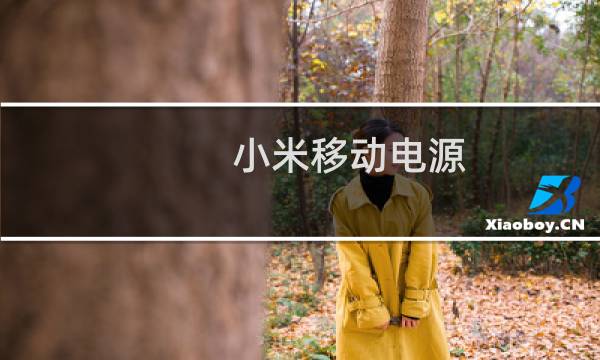小米移动电源图片