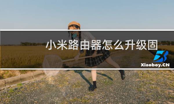小米路由器怎么升级固件?小米路由器固件升级教程