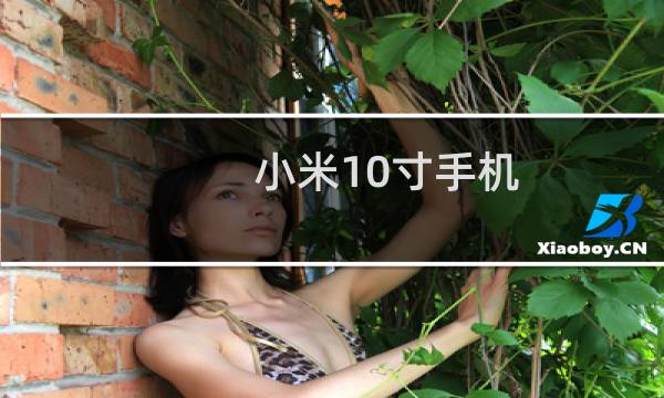 小米10寸手机