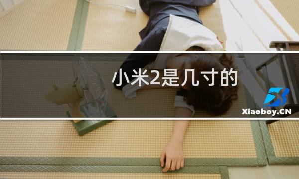 小米2是几寸的
