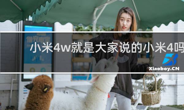 小米4w就是大家说的小米4吗