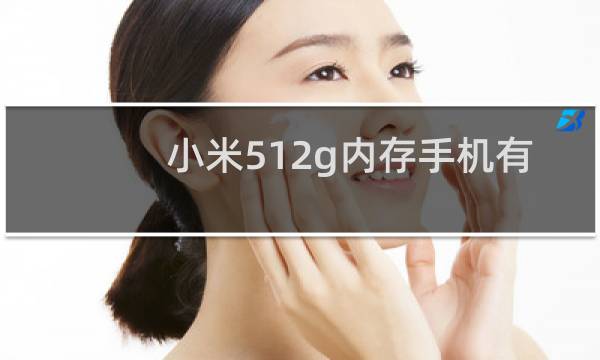 小米512g内存手机有哪些