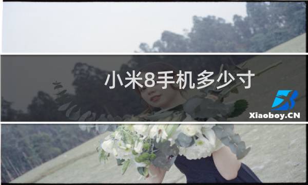 小米8手机多少寸