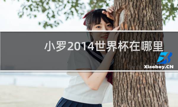 小罗2014世界杯在哪里