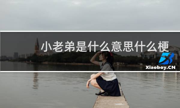小老弟是什么意思什么梗