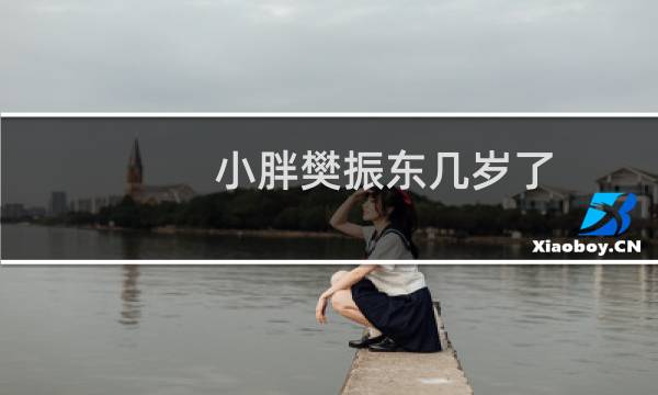 小胖樊振东几岁了