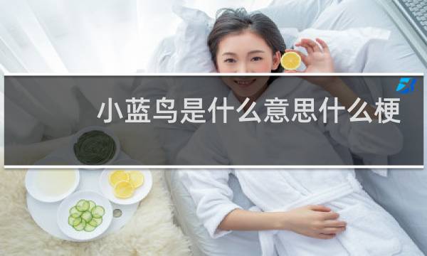小蓝鸟是什么意思什么梗