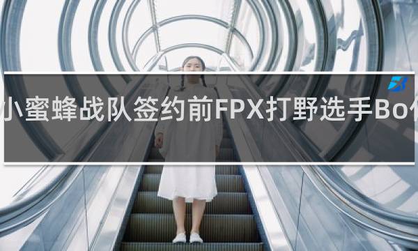 小蜜蜂战队签约前FPX打野选手Bo什么梗