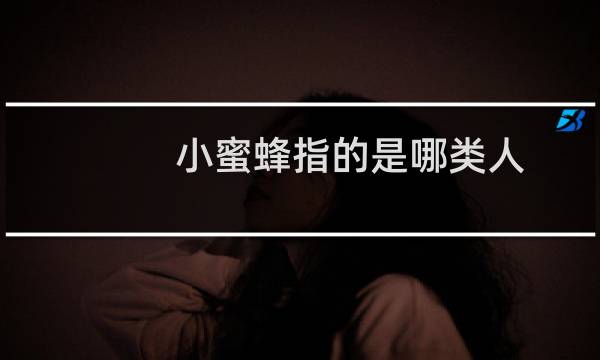 小蜜蜂指的是哪类人（小蜜蜂分别指哪一类人）图片