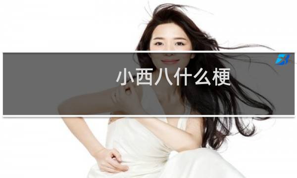 小西八什么梗